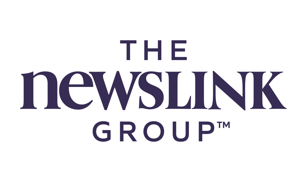 newslink logo text only